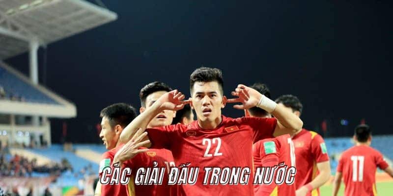 Các giải đấu quốc gia vô cùng hấp dẫn độc quyền tại Cá Heo TV